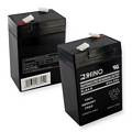 6 VOLT 4.5Ah BATTERY